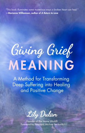 Cover of Giving Grief Meaning: A Method for Transforming Deep Suffering Into Healing and Positive Change