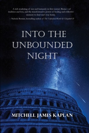Cover of Into the Unbounded Night