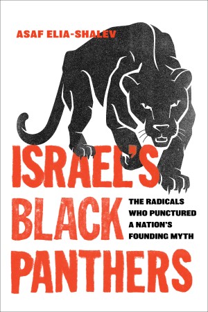 Cover of Israel's Black Panthers: The Radicals Who Punctured a Nation's Founding Myth