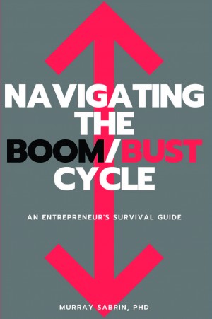 Cover of Navigating the Boom/Bust Cycle: An Entrepreneur's Survival Guide