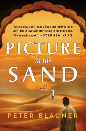 Cover of Picture in the Sand