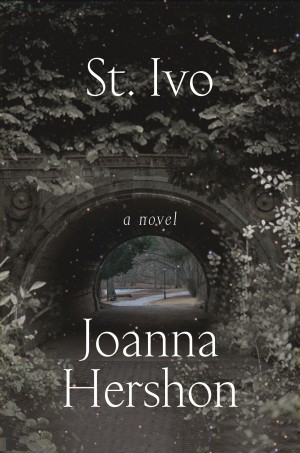 Cover of St. Ivo: A Novel