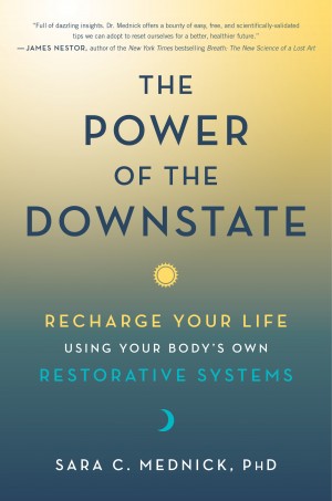 Cover of The Power of the Downstate: Recharge Your Life Using Your Body's Own Restorative Systems