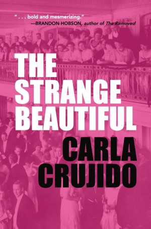 Cover of The Strange Beautiful