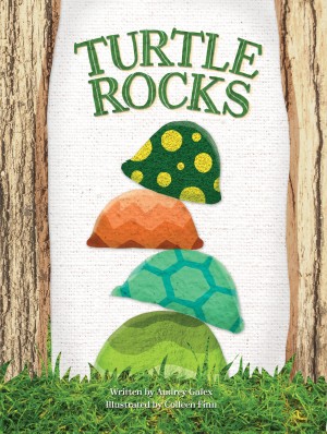 Cover of Turtle Rocks