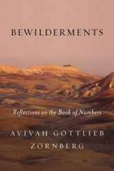 Cover of Bewilderments: Reflections on the Book of Numbers