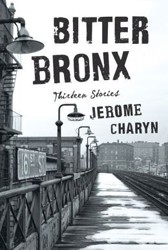 Cover of Bitter Bronx: Thirteen Stories