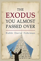 Cover of The Exodus You Almost Passed Over
