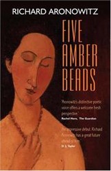 Cover of Five Amber Beads