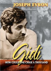 Cover of Gidi: One Chasing A Thousand