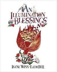 Cover of An Illumination of Blessings