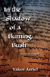 Cover of In the Shadow of a Burning Bush: Poems on Exodus