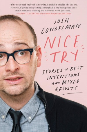 Cover of Nice Try: Stories of Best Intentions and Mixed Results