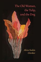 Cover of The Old Woman, the Tulip, and the Dog