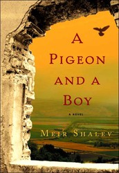 Cover of A Pigeon and a Boy