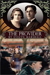 Cover of The Provider