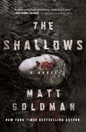 Cover of The Shallows