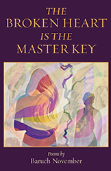 Cover of The Broken Heart is the Master Key
