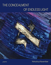 Cover of The Concealment of Endless Light