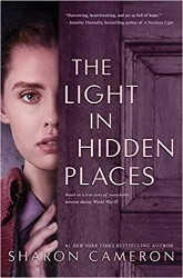 Cover of The Light in Hidden Places
