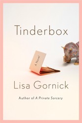 Cover of Tinderbox