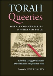 Cover of Torah Queeries: Weekly Commentaries on the Hebrew Bible