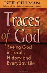 Cover of Traces of God: Seeing God in Torah, History and Everyday Life