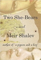 Cover of Two She-Bears