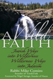 Cover of A Wild Faith: Jewish Ways into Wilderness, Wilderness Ways into Judaism