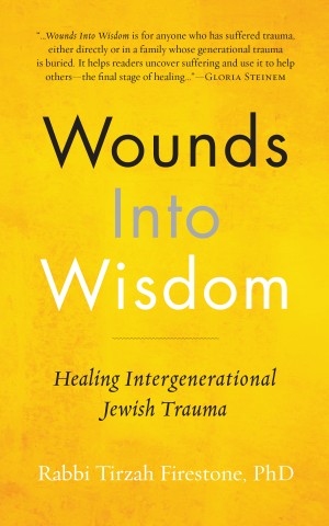 Cover of Wounds into Wisdom: Healing Intergenerational Jewish Trauma