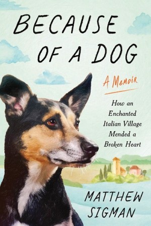 Cover of Because of a Dog