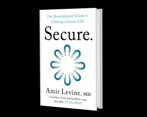 Cover of Secure: The Revolutionary Guide to Creating a Secure Life