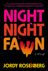 Cover of Night Night Fawn