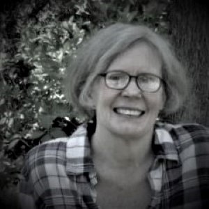 Photo of Paula Dáil
